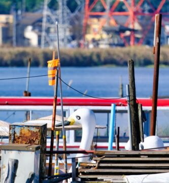 a white bird on a boat