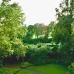 An aerial view of a lush green park