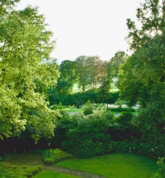 An aerial view of a lush green park